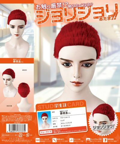 富士達オリジナルウィッグ | 富士達 富士達オリジナルウィッグ | 富士達